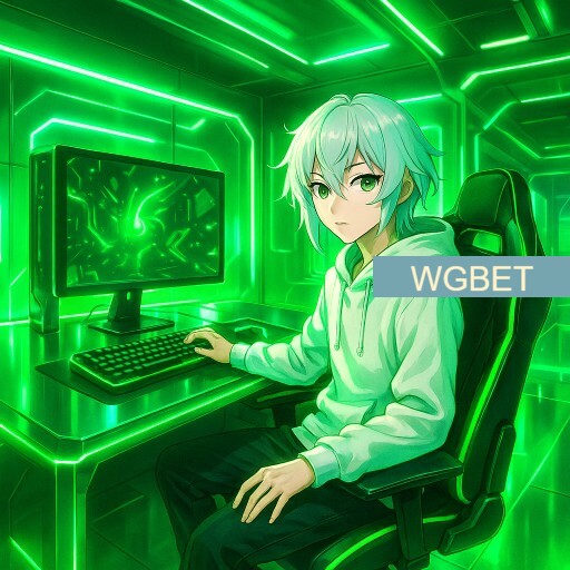 Imagem promocional da WGBET mostrando a plataforma e suas vantagens