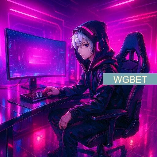 Imagem promocional da WGBET mostrando a plataforma e suas vantagens